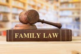 USA Family Law Appeals