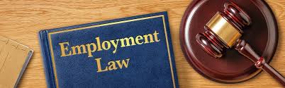 No Win No Fee Solicitors Employment Law