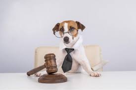 USA Dog Law