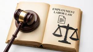UK employment law guide