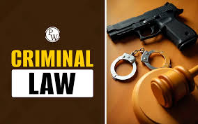 IDPC Criminal Law USA