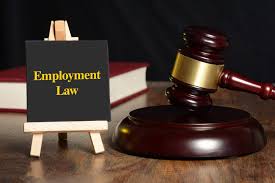 What is Employment Law