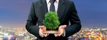Environmental remediation attorney